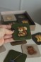 IMG_3992.jpeg